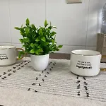 Itos Flats Apartment Pravia